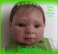 /album/galeria-de-fotos-contacte-nos/domy-1-jpg/